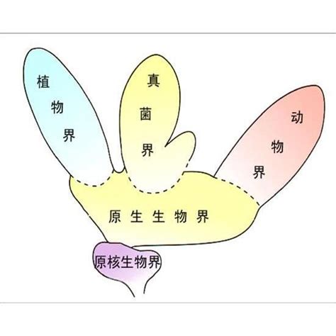 動物屬性|生物分界:兩界系統,三界系統,五界系統,三總界六界系統,三原界系。